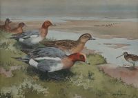 WILD FOWL BY THE SHORE by Robert W. Milliken at Ross's Online Art Auctions