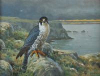 FALCON ON A CLIFF EDGE by Julian Friers RUA at Ross's Online Art Auctions
