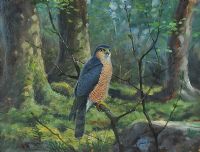 FALCON IN WOODLANDS by Julian Friers RUA at Ross's Online Art Auctions
