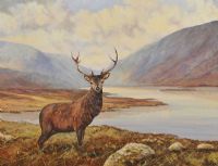 STAG OVERLOOKING GLENVEAGH by Nigel Allison at Ross's Online Art Auctions