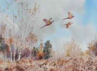 PHEASANTS OUT OF THE BIRCHES by Robert W. Milliken at Ross's Online Art Auctions