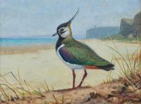LAPWING ON PORTSTEWART STRAND by Julian Friers RUA at Ross's Online Art Auctions
