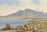 KILLARY HARBOUR, CONNEMARA by David Overend at Ross's Online Art Auctions