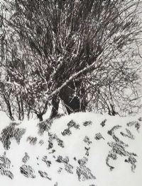 WINTER HEDGE by Ross Wilson ARUA at Ross's Online Art Auctions