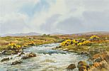 RIVER OWENEA NEAR ARDARA by Robert Egginton at Ross's Online Art Auctions
