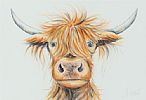 THE HIGHLAND COW by Anne Jolivet at Ross's Online Art Auctions