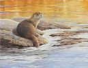 OTTERS by Neil Cox at Ross's Online Art Auctions