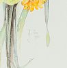 STILL LIFE DAFFODILS by Jo Alexander at Ross's Online Art Auctions