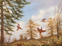 PHEASANTS IN WOODLANDS by P. Kennedy at Ross's Online Art Auctions