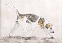 NORTH DOWN HOUND by Audrey Smyth at Ross's Online Art Auctions