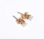 PAIR OF GOLD & DIAMOND STUDS at Ross's Online Art Auctions
