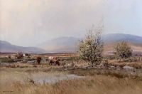 MEADOW LANE, NEAR BELLARENA by David Long UWS at Ross's Online Art Auctions