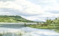 CAMLOUGH by Martin D. Cooke at Ross's Online Art Auctions