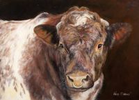 OLD TOM by Wendy McKeown at Ross's Online Art Auctions