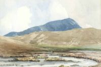 RIVER IN THE MOURNES by Ross Macdonald Macdonald at Ross's Online Art Auctions