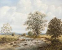 CAMOWEN RIVER, OMAGH by John S. Haggan at Ross's Online Art Auctions