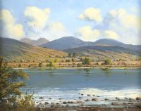 THE MOURNE MOUNTAINS ACROSS LOUGH ISLAND REAVY by David Overend at Ross's Online Art Auctions