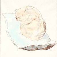 SLEEPING DOG by Gerard Dillon at Ross's Online Art Auctions