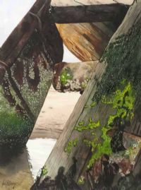 SEAWEED & BARNACLES by Ian Fleming at Ross's Online Art Auctions