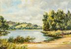 THE RIVER ERNE, COUNTY FERMANAGH by Allan Ardies at Ross's Online Art Auctions