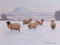 SHEEP IN THE SNOW NEAR SLEMISH by Gregory Moore at Ross's Online Art Auctions