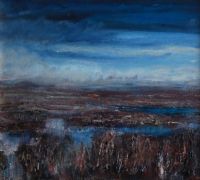 CUT AWAY BOG, CONNEMARA by Gerard Maguire at Ross's Online Art Auctions