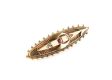 15CT GOLD EMBOSSED BAR BROOCH WITH RUBY CENTRE STONE & DIAMOND CHIPS at Ross's Online Art Auctions