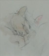 CAT STUDY by Gerard Dillon at Ross's Online Art Auctions