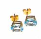 PAIR OF 9CT GOLD & AQUAMARINE EARRINGS at Ross's Online Art Auctions