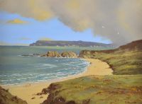 SHOWER, WHITEPARK BAY by David Overend at Ross's Online Art Auctions