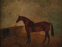 HORSE STUDY by Irish School at Ross's Online Art Auctions