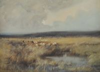 SHEEP GRAZING by Dorothy Cox at Ross's Online Art Auctions