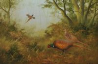 WOODLAND PHEASANTS by Wendy Reeves at Ross's Online Art Auctions