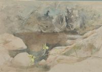 ROCK POOL by Tom Carr HRHA HRUA at Ross's Online Art Auctions