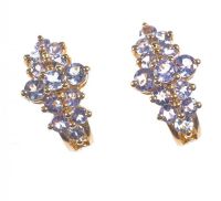 10 CT GOLD TANZANITE CLUSTER EARRINGS at Ross's Online Art Auctions