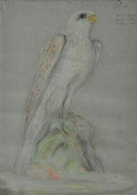 FALCON by Tom Carr HRHA HRUA at Ross's Online Art Auctions