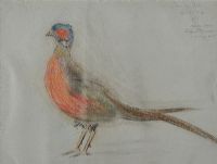 STUDY OF A STUFFED PHEASANT by Tom Carr HRHA HRUA at Ross's Online Art Auctions