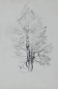 TALL TREE by Tom Carr HRHA HRUA at Ross's Online Art Auctions