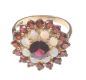 9 CT GOLD OPAL & GARNET CLUSTER RING at Ross's Online Art Auctions