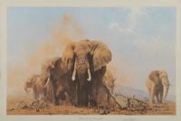 ELEPHANTS IN TSAVO NATIONAL by David Shepherd OBE FRSA at Ross's Online Art Auctions