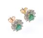 PAIR OF 9 CT EMERALD & DIAMOND CLUSTER EARRINGS at Ross's Online Art Auctions