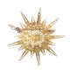 22 CT PIERCED GOLD STAR BROOCH at Ross's Online Art Auctions