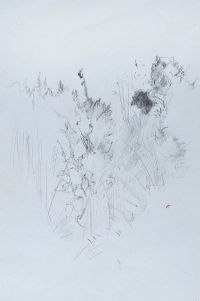 WILD BUSHES by Tom Carr HRHA HRUA at Ross's Online Art Auctions