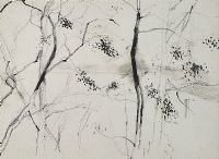 TREE STUDY by Tom Carr HRHA HRUA at Ross's Online Art Auctions