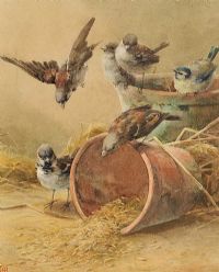 BIRDS FEEDING by Helen O'Hara RUA at Ross's Online Art Auctions