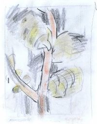 TREE STUDY by Basil Blackshaw HRHA HRUA at Ross's Online Art Auctions