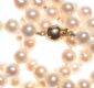 STRAND OF FRESHWATER PEARLS WITH A 9CT GOLD CLASP at Ross's Online Art Auctions
