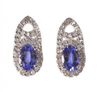 9CT WHITE GOLD TANZANITE AND DIAMOND CLUSTER EARRINGS at Ross's Online Art Auctions