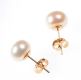 9CT GOLD AND FRESHWATER PEARL STUD EARRINGS at Ross's Online Art Auctions