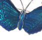 STERLING SILVER AND ENAMEL BUTTERFLY BROOCH at Ross's Online Art Auctions